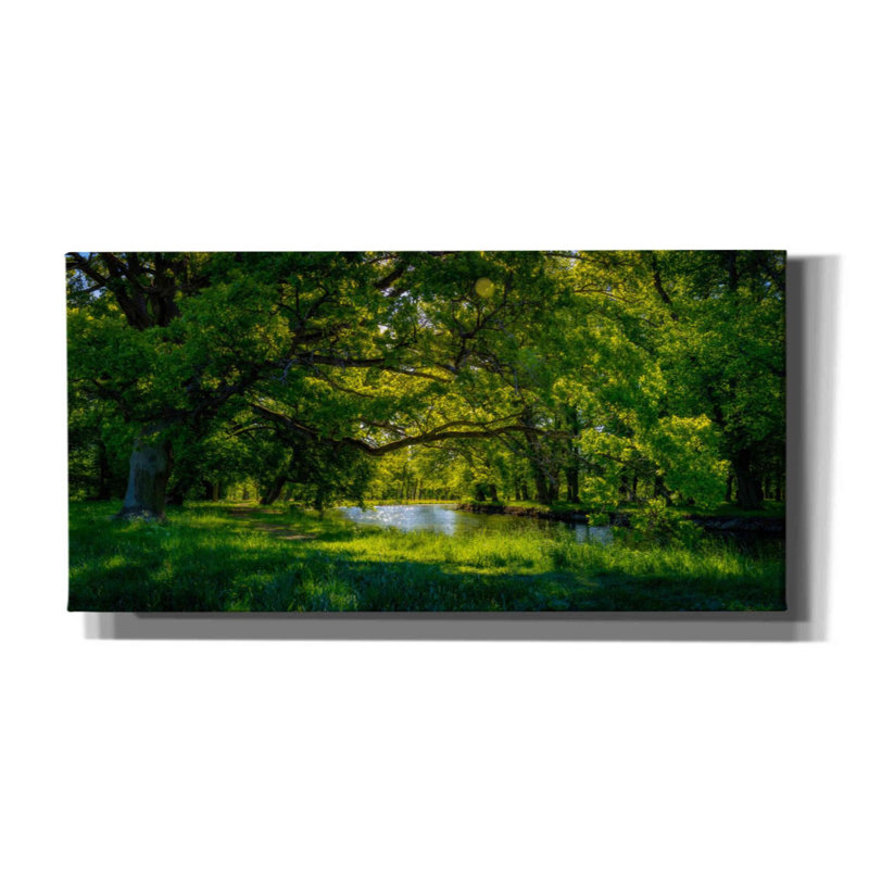 «Summer Morning In The Park» par Nicklas Gustafsson, art mural sur toile, H 12 po x l 24 po x P 0,75 po