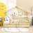 Kids with Drawers-650643201-650643203
