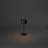 Lille Mini Cordless Table Lamp - USB Rechargeable, Dimmable LED, Elegant Design-110764269-110764271