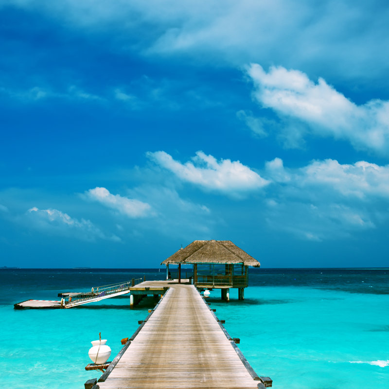 Beautiful Beach - Wrapped Canvas Print, 122cm H x 122cm W x 3.8cm D