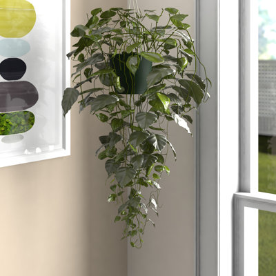 44'' Faux Philodendron Plant in Basket
