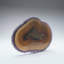 Amethyst Stalactite Slice From Uruguay (235.1 Grams)