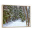 «Winter Forest», reproduction d'art sur toile, route enneigée dans la forêt-984435568-984435557-984435554