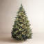 Carolina Green Pine Artificial Christmas Tree with Clear Lights with Stand-1948406327