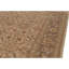Wool Oriental Area Rug in Brown