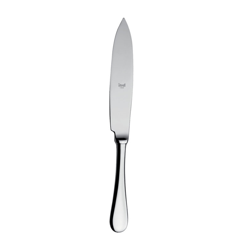 Stainless Steel Serving Spoon