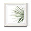 Verdant impressions IV, reproduction d’art-1619971152-1619971156