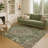 Machine Washable Indoor/Outdoor Chantille ACN2463 Traditional Rug-2027635571-2027635575