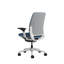 Steelcase Amia Ergonomic Task Chair-323515492-323515498-334359737
