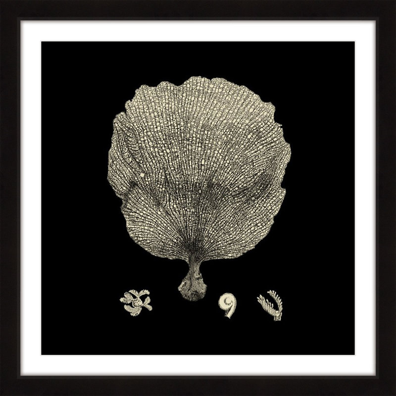 « black & tan corail ii », reproduction d’art encadrée, H 24 po x l 24 po x P 1,5 po
