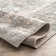 Andrus Oriental Silver Area Rug