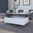Boston Lift Top Coffee Table