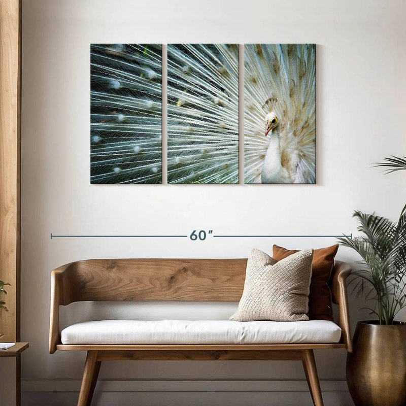 Brampt Icy White Peacock, 28" H x 45" W