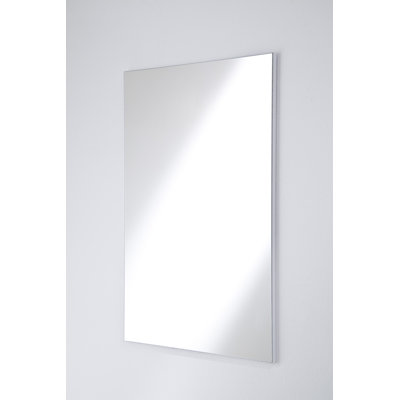 Raines Flat Wall Mirror