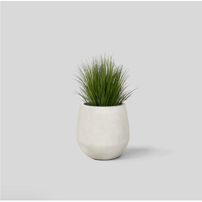 Serene Planter Pot