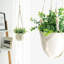 Elevated Planter