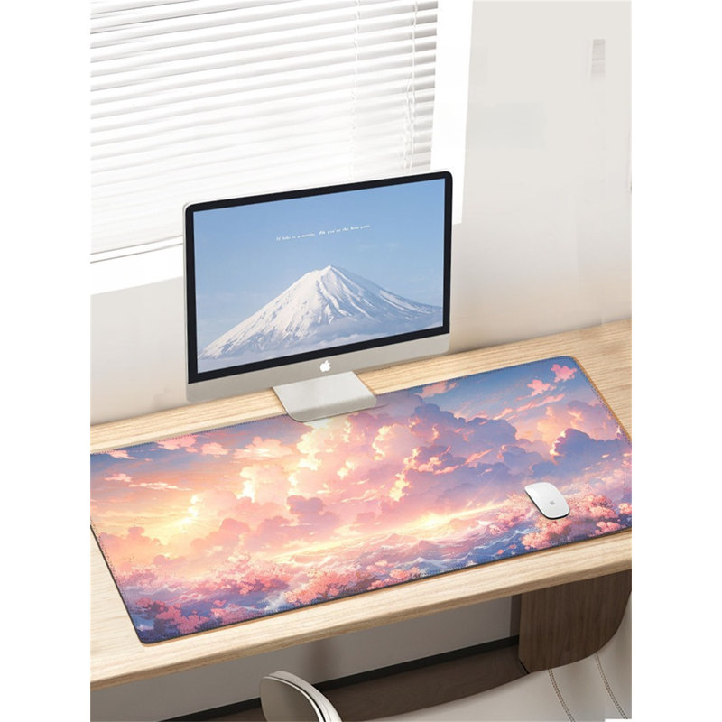 Tapis de bureau pour bureau
