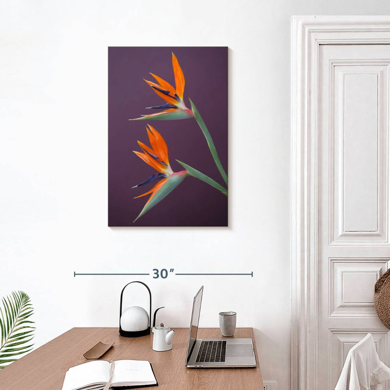 Harnek oiseaux vivaces du paradis, H 30 po x l 20 po