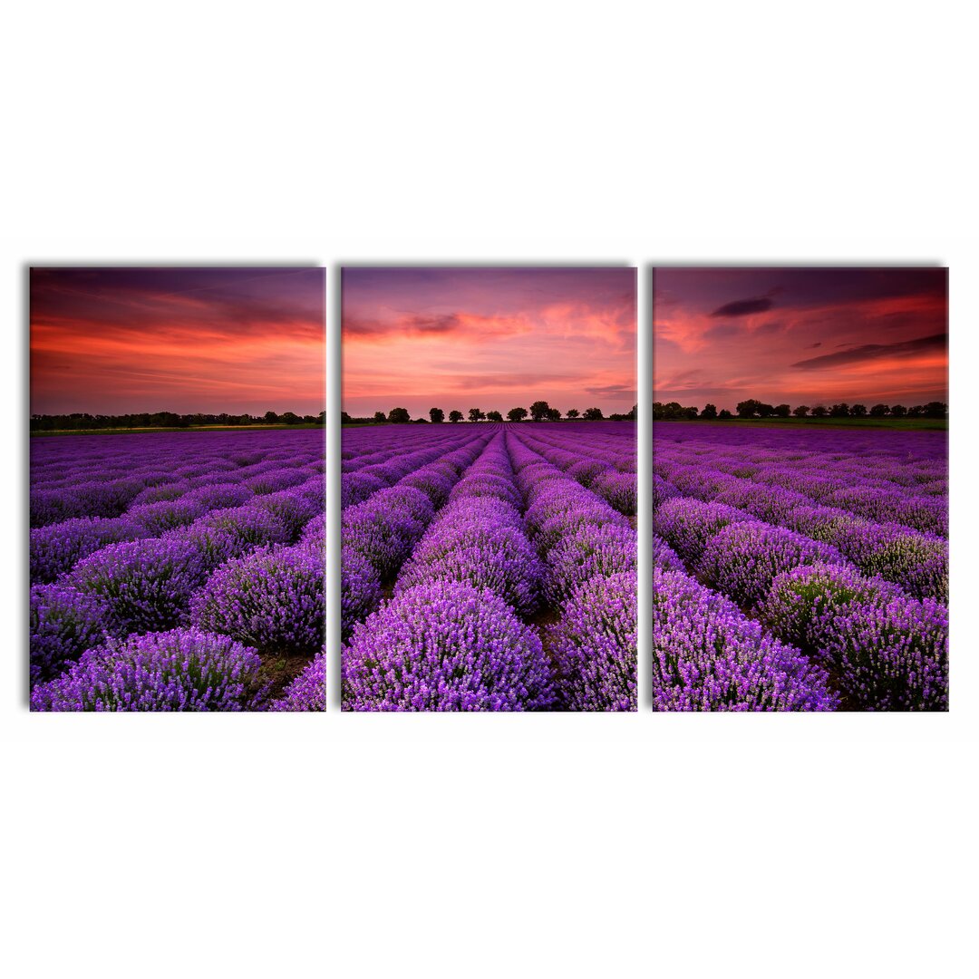 3-tlg. Leinwandbilder-Set Wunderschöne Lavendel Provence