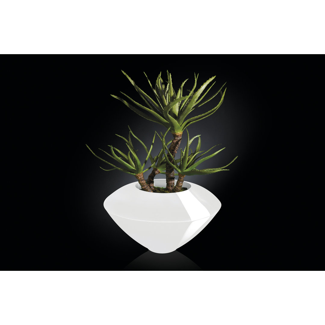 4 - Piece Artificial Aloe Plant in Vase Set