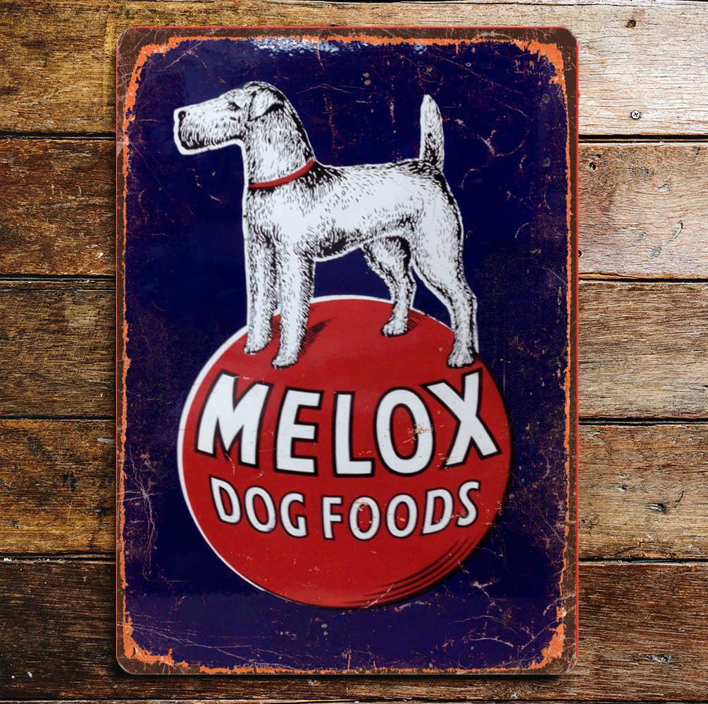 Wall Decor on Metal