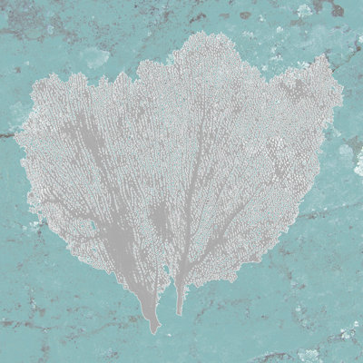 Graphic Sea Fan IV 1 Piece Wrapped Canvas Wall Art