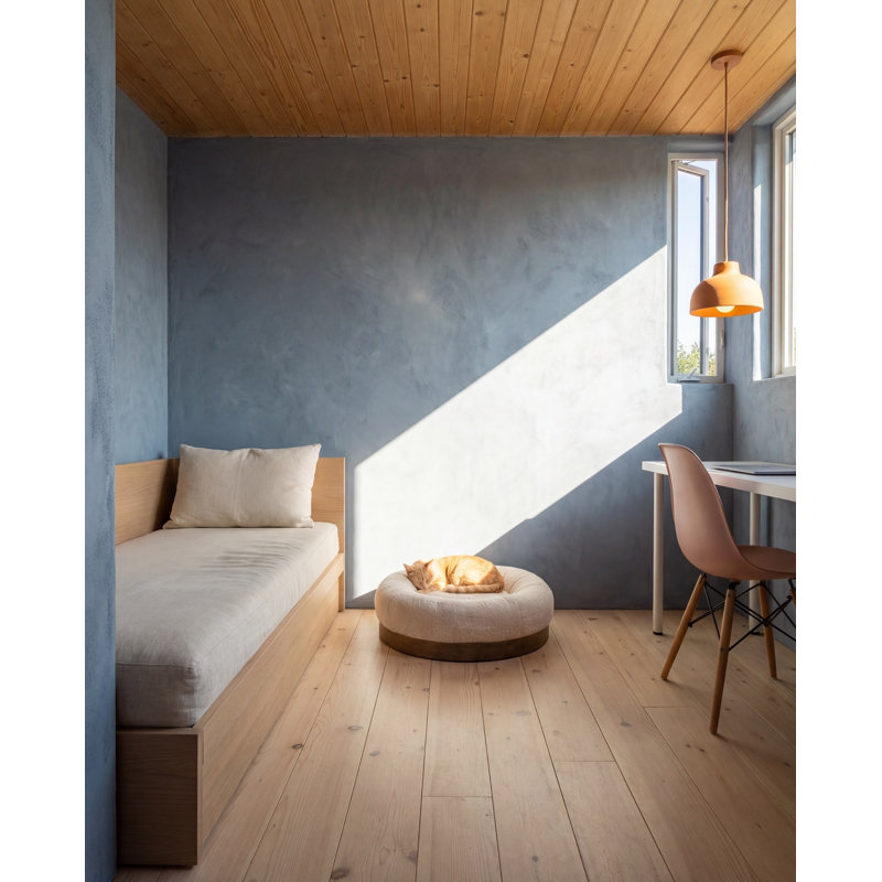 Lit apaisant moderne pour chat, 71 cm L x 71 cm l x 20 cm H, en tissu beige moelleux, avec cadre en bois massif.