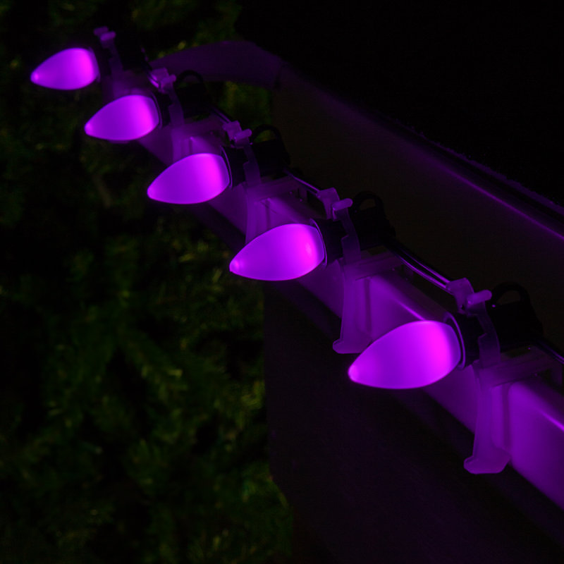 600'' String Lights, Purple