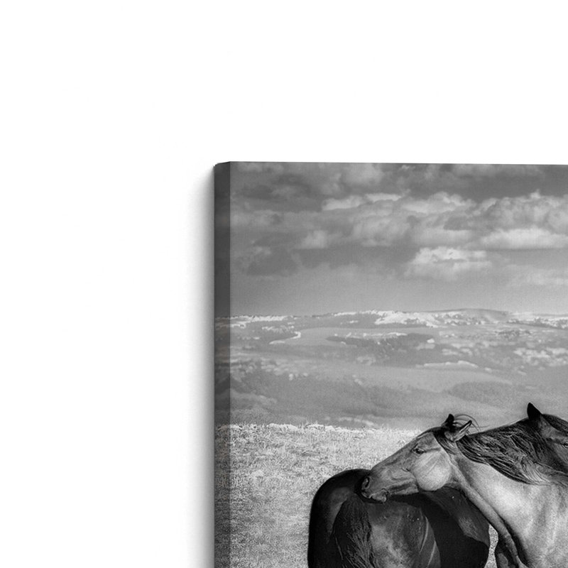 Équitation, reproduction sur toile, H 12 po x l 18 po x P 1,25 po, Toile tendue