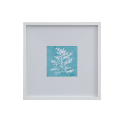 «White Coral on Blue IV», reproduction encadrée
