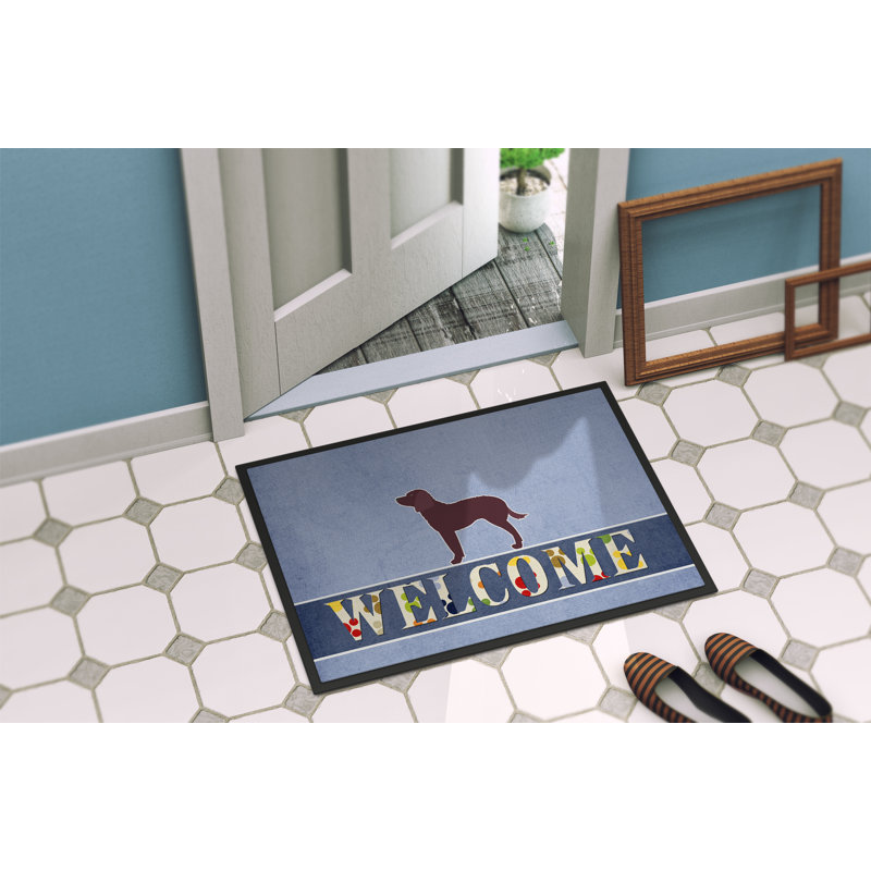 Welcome Non-Slip Outdoor Door Mat, American Water Spaniel, Rectangle 2' x 3'