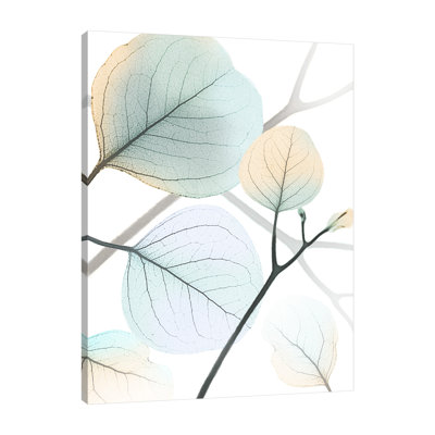 «Sunkissed Eternity 1», toile tendue par Albert Koetsier