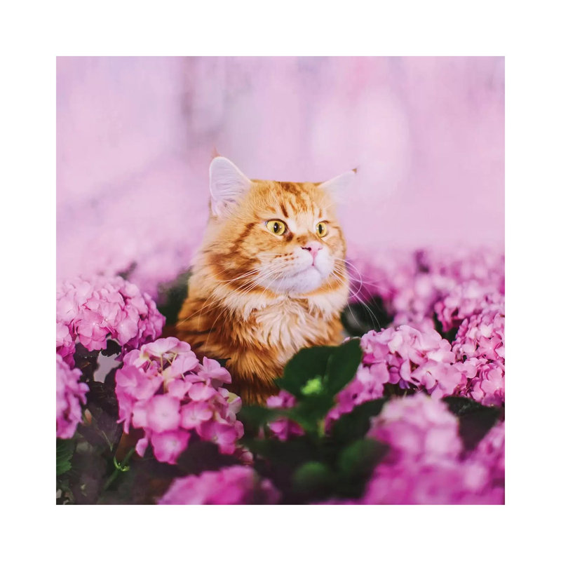 « What » par Hobopeeba-reproduction de photo, Pas de tapis, Toile tendue, H 12 po x l 12 po x P 0,75 po