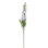 Fuchsia Stem