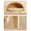 Structure d'escalade pour chat domestique