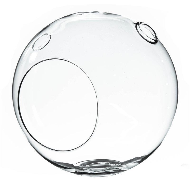 Terrarium en verre transparent à Globe Norham, 1