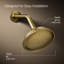 Artifacts Standard Fixed Shower Head with Katalyst Spray-54855732