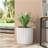 Planter-1471350971