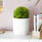 Faux Foliage Topiary Green Artificial Foliage Ball