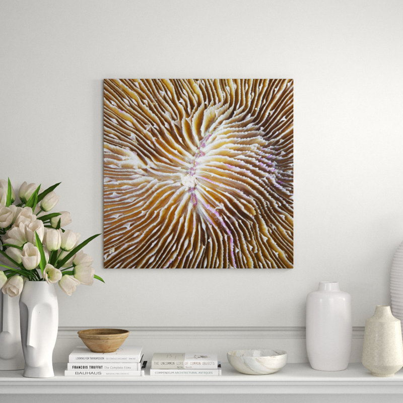 Underwater Beauty VI Print by Austin Beiv, Glass Coat, 24" H x 24" W x 1.5" D