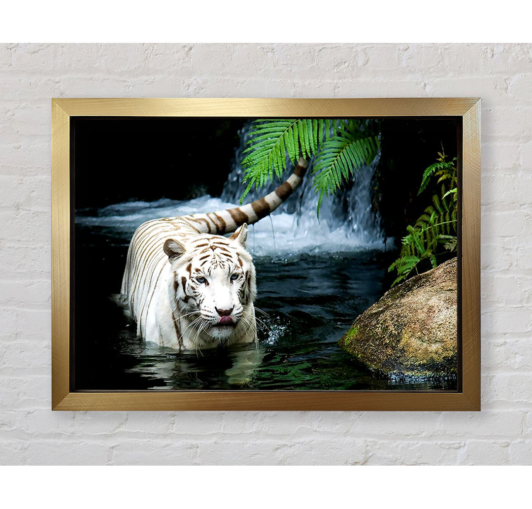 White Tiger Beautiful - Einzelner Bilderrahmen Kunstdrucke