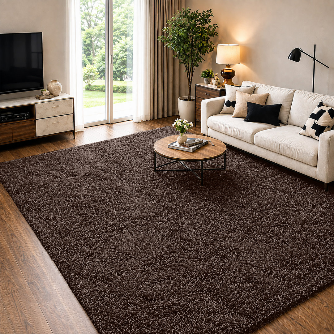 Soft Fluffy Living Room Large Area Rug