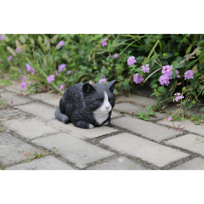 Statue de tabby marbré orange endormi, Black/White