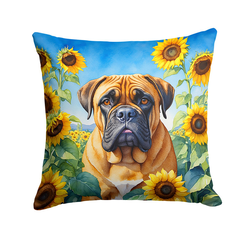 Other/No Pattern Outdoor Throw Pillow, 14" H x 14" W