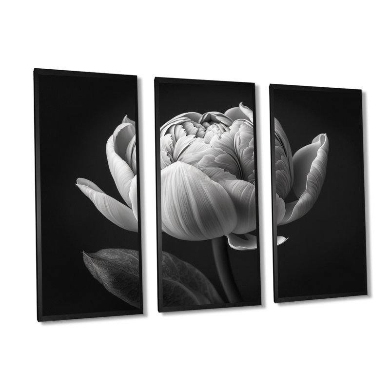 Gros plan sur une tulipe noire et blanche I - reproduction de cadre flottant 3 pièces sur toile, H 28 po x l 36 po x P 1 po