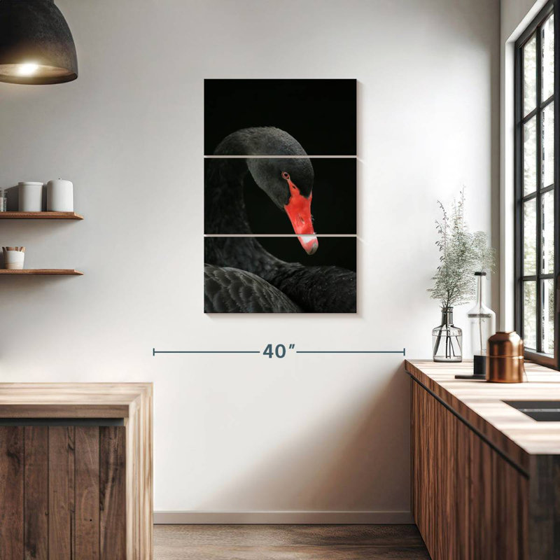 Brampt Black Swan Head, 38" H x 24" W