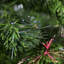 3.94' H Artificial Fir Christmas Tree