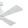 Wollrich 52'' Ceiling Fan