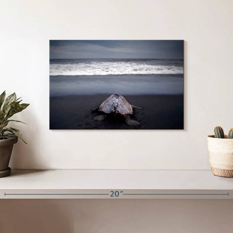 Brampt Ridley Sea Turtle, 8" H x 12" W