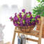 Arrangement en panier-913391703